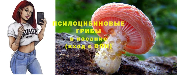герыч Весьегонск