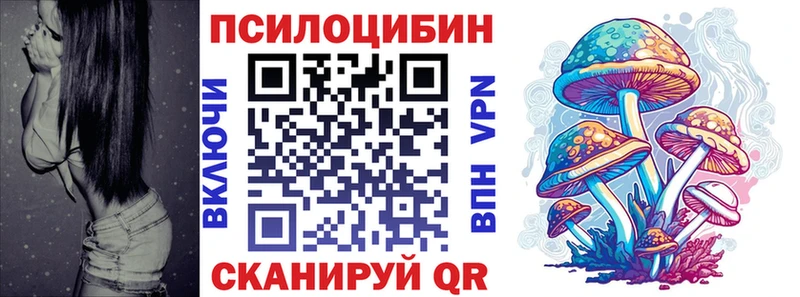 где купить наркоту  Княгинино  Галлюциногенные грибы мухоморы 